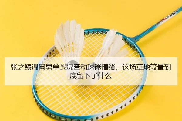 张之臻温网男单战况牵动球迷情绪，这场草地较量到底留下了什么